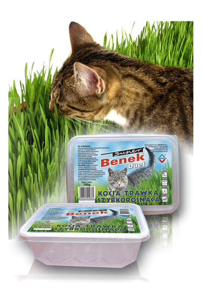 Poza cu Certech 10319 pet grass seed Cat