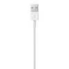 Poza cu Apple Lightning to USB Cable (1? m) (MXLY2ZM/A)