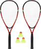 Poza cu NILS NRS001 badminton set 2 rackets + shuttlecocks + red case