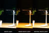 Poza cu Montis Lampka biurkowa wielofunkcyjna LED MT042 table lamp White (MT042)