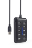 Poza cu Gembird UHB-U2P10P-01 10-port USB 2.0 hub, black (UHB-U2P10P-01)