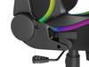 Poza cu Genesis Scaun gaming Trit 600 RGB Black