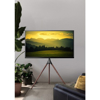 Poza cu Techly ICA-TR18SAM TV mount 165.1 cm (65'') Walnut (105209)