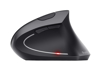 Poza cu Trust Verto mouse RF Wireless Optical 1600 DPI Right-hand