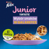 Poza cu Felix Fantastic jelly food for kittens in jelly beef, chicken, salmon, sardine - 12x 85 g