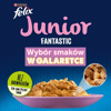 Poza cu Felix Fantastic Junior rural flavors in jelly - chicken, salmon - 340g (4x 85 g)